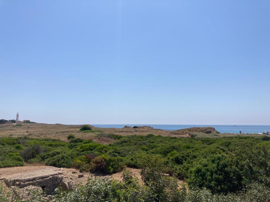 Ariadne Apartments Paphos ภายนอก รูปภาพ